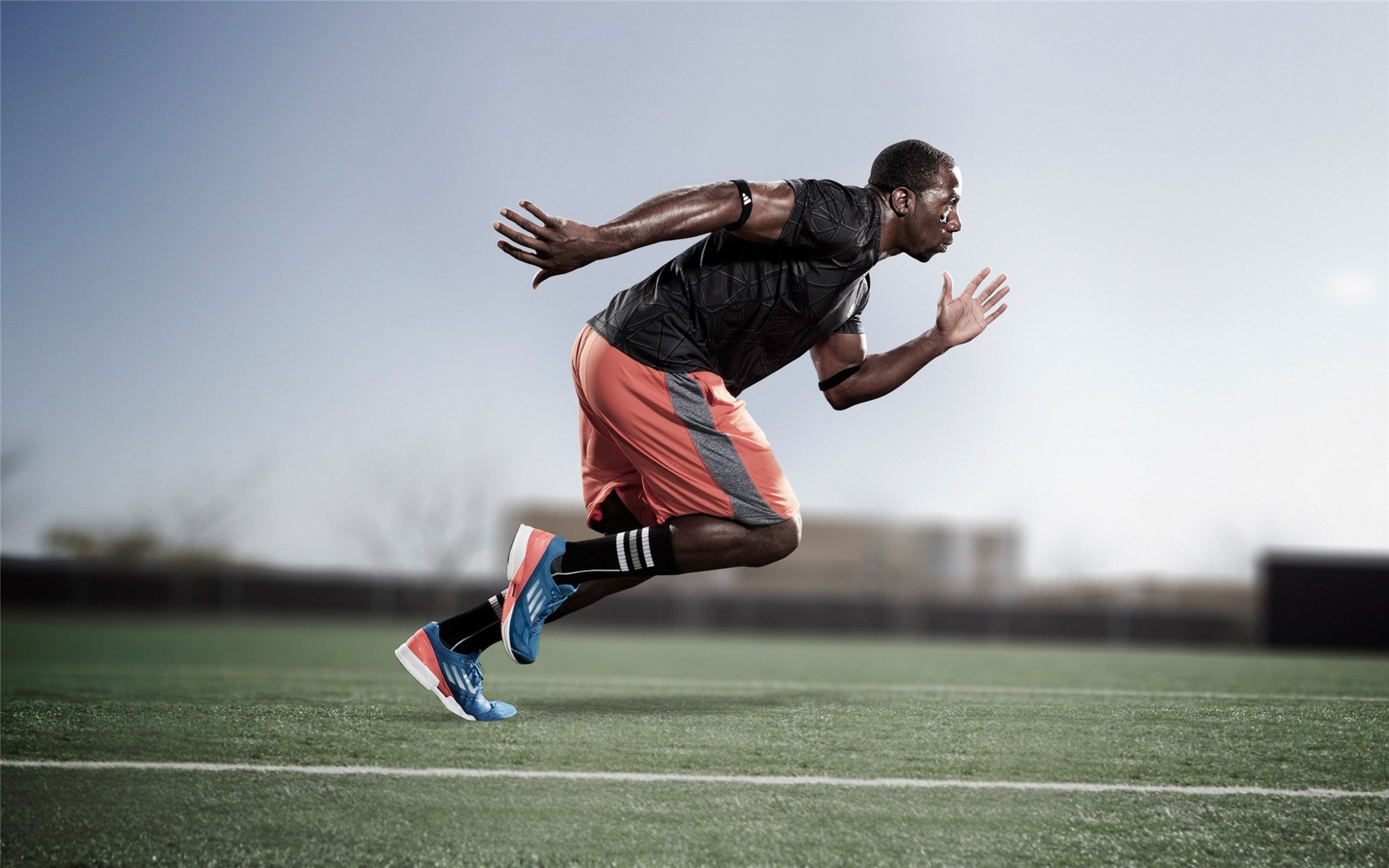 体育新闻中心服务区域性体育节庆品牌传播内容提升,体育文化节推送